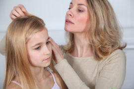 head lice myths and facts - misconceptions and truths about head lice